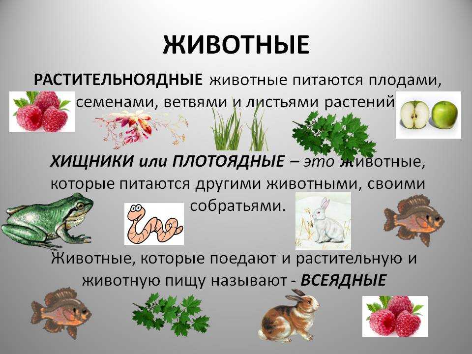 Гдз решебник биология 5 класс рабочая тетрадь линия жизни «просвещение» пасечник, суматохин, калинова.