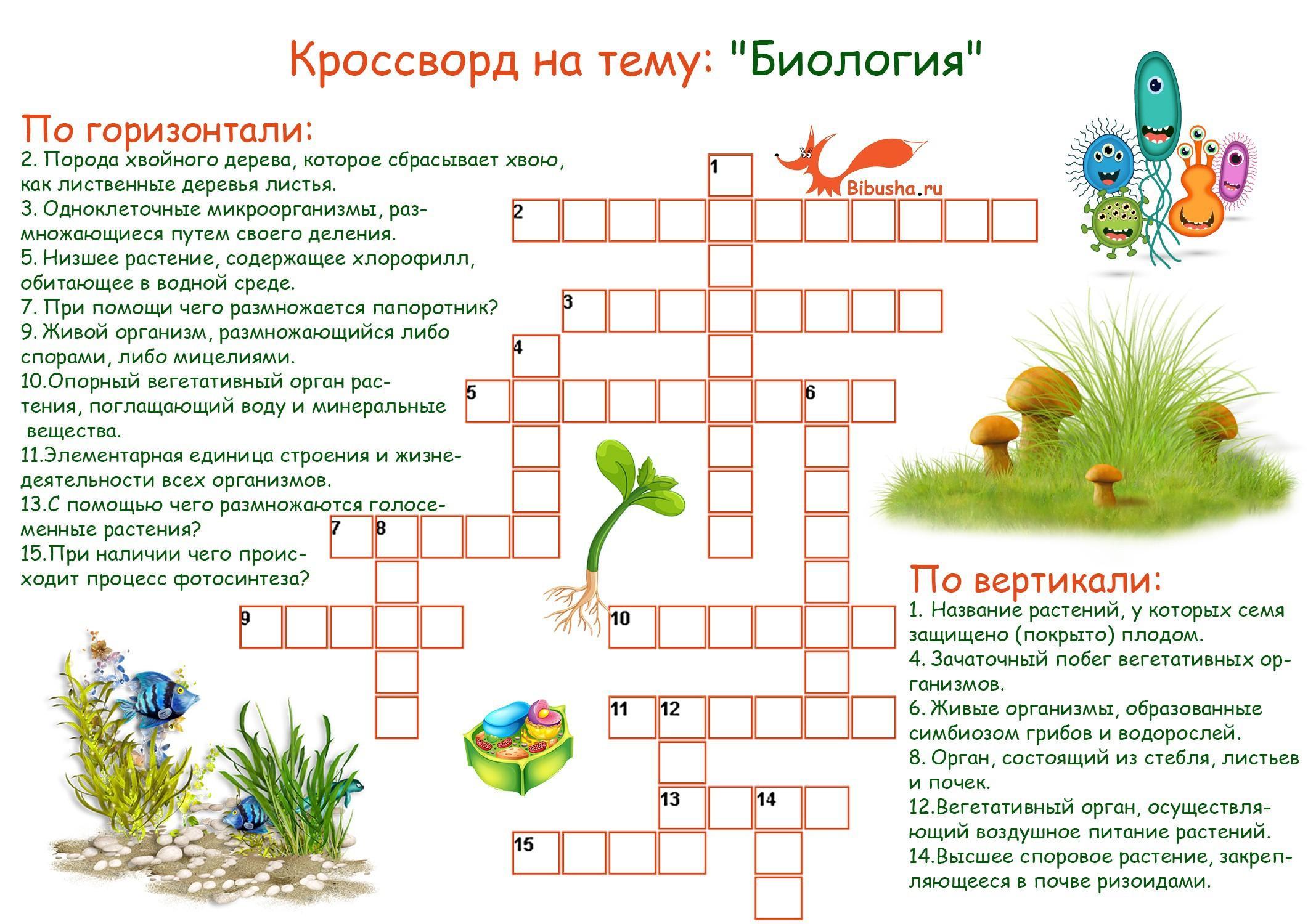 Гдз (решебник) биология 5 класс пасечник