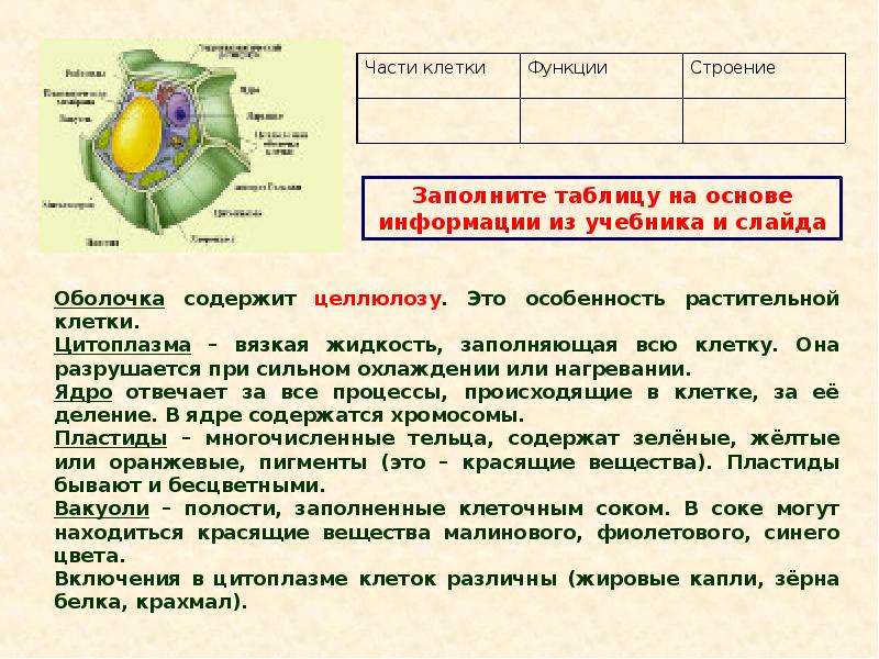 Гдз ответы по биологии учебник 5-6 класс пасечник