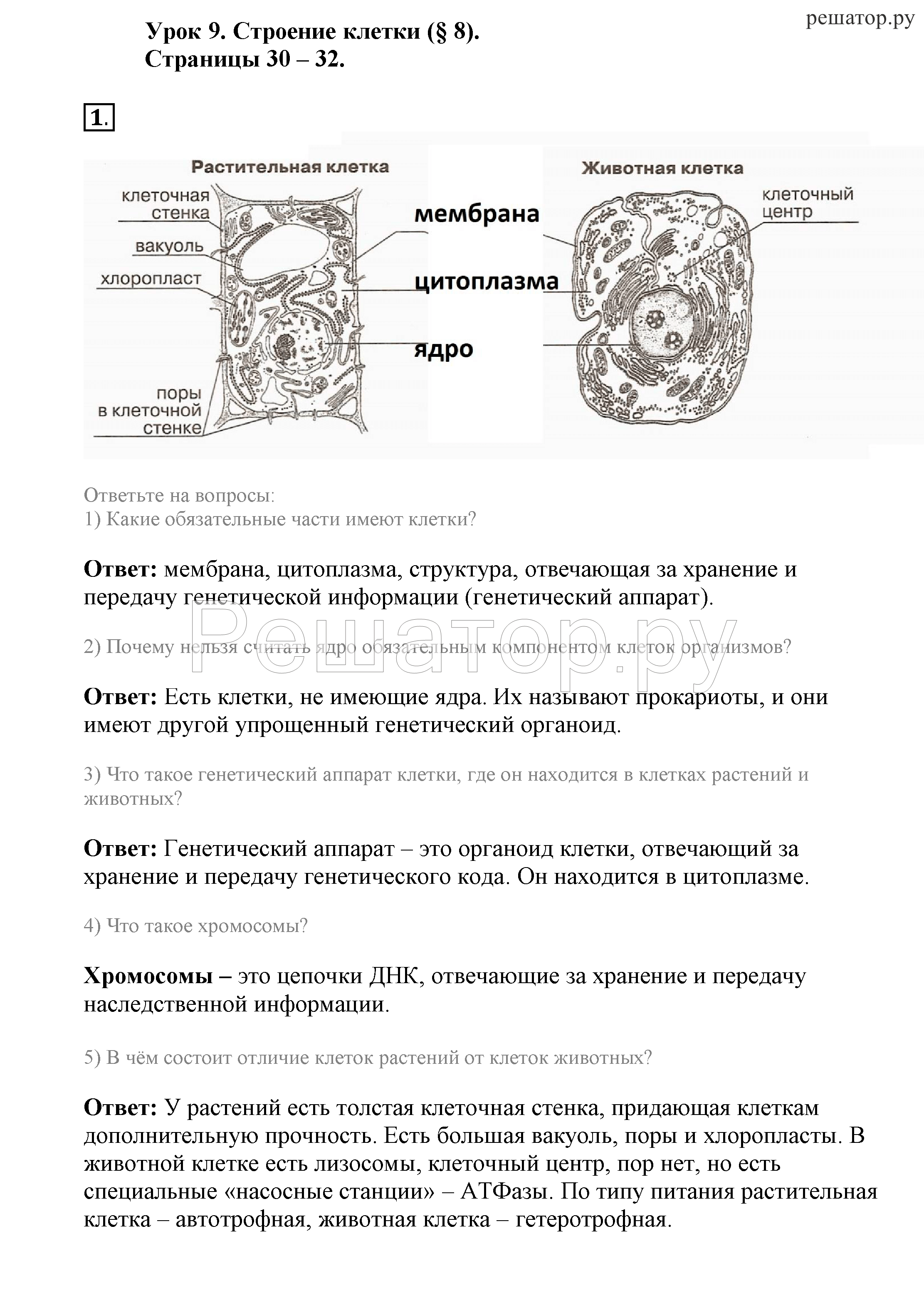 Гдз биология 5 класс пасечник