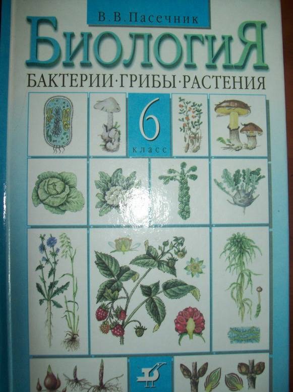 Гдз по биологии за 5‐6 класс  пасечник, суматохин
