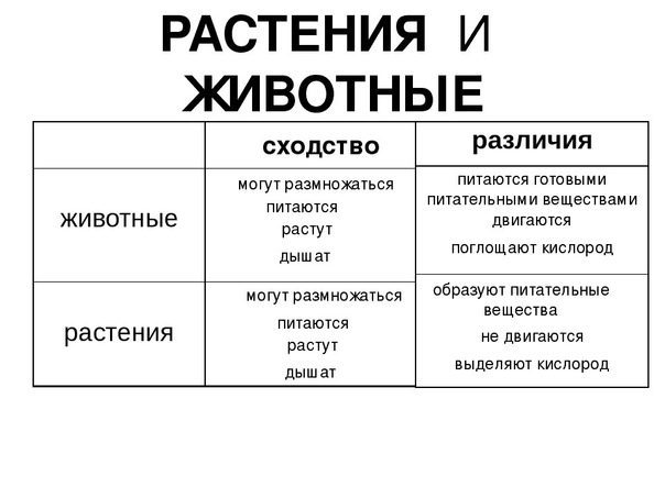 Животные,в отличие от растений, биология