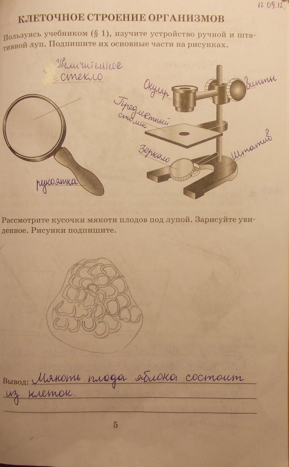 Гдз по биологии 5 класс пасечник в. в.