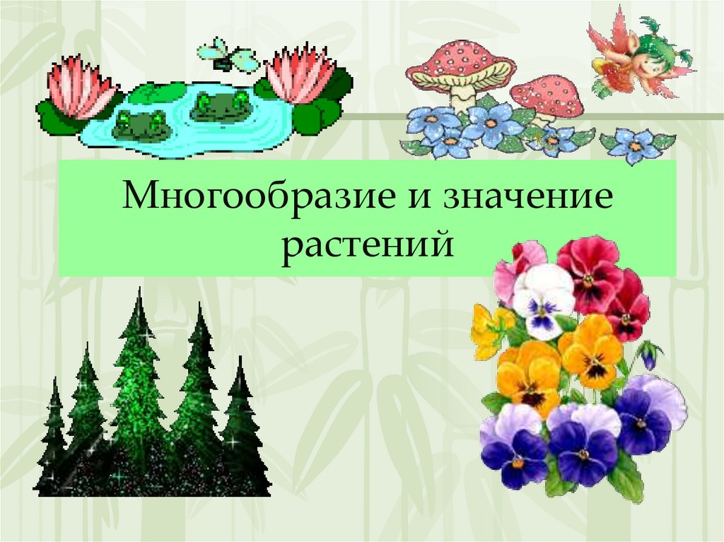 Вопросы к параграфу 17 — гдз по биологии 5 класс учебник пасечник