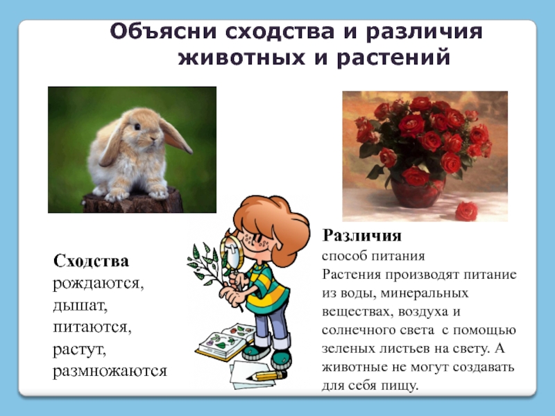 Гдз решебник по биологии 7 класс тетрадь для лабораторных и практических работ лисов