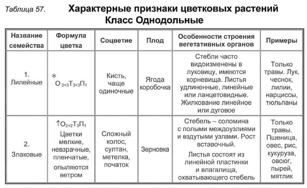Гдз по биологии 5 класс пасечник, суматохин, учебник просвещение 2023