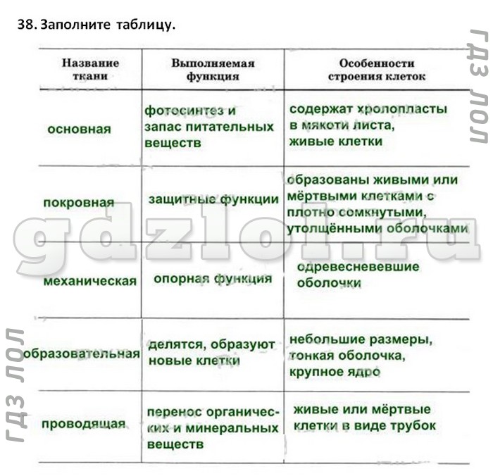 Гдз по биологии 5 класс рабочая тетрадь  пасечник