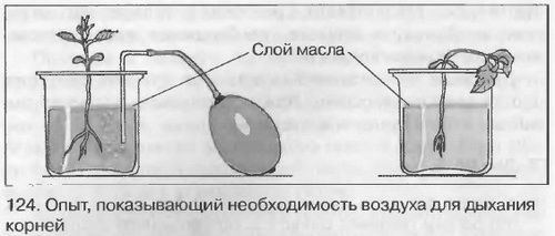 Гдз решебник рабочая тетрадь биология 5 класс линия жизни пасечник
