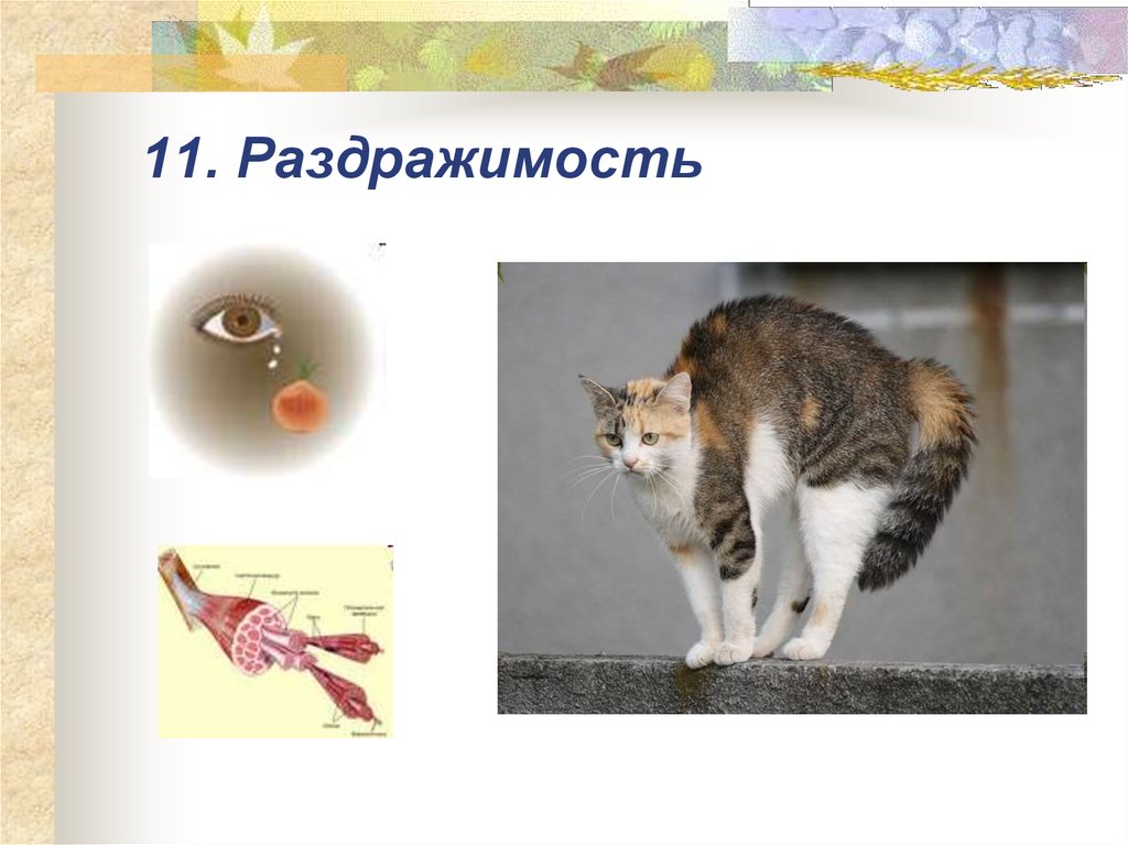 Гдз решебник по биологии 5-6 класс пасечник, суматохин, калинова, гапонюк учебник просвещение