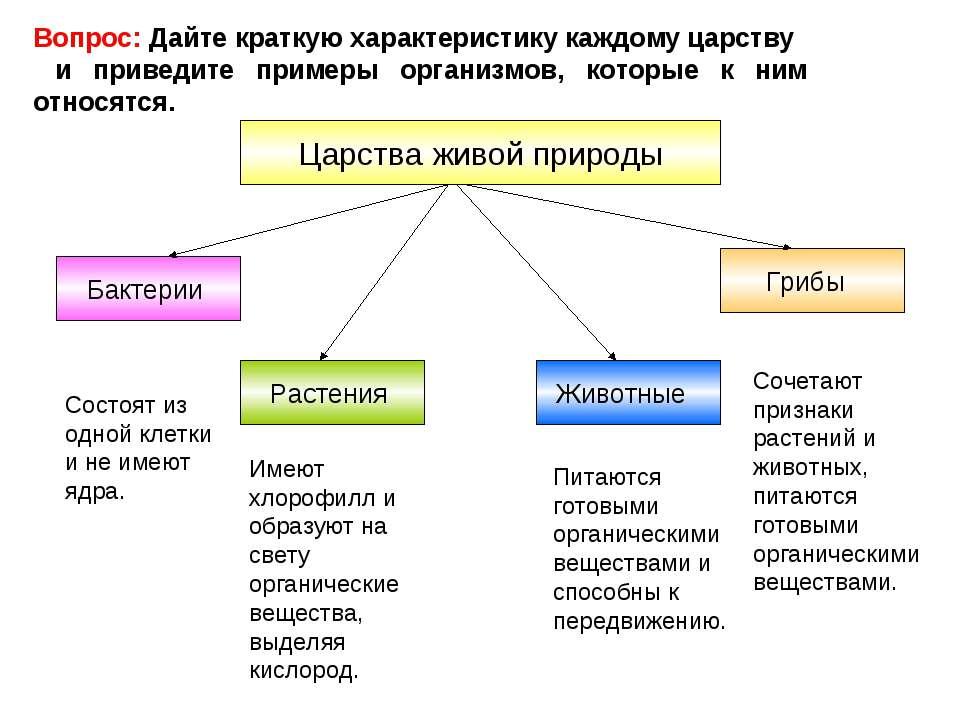 § 10. ткани