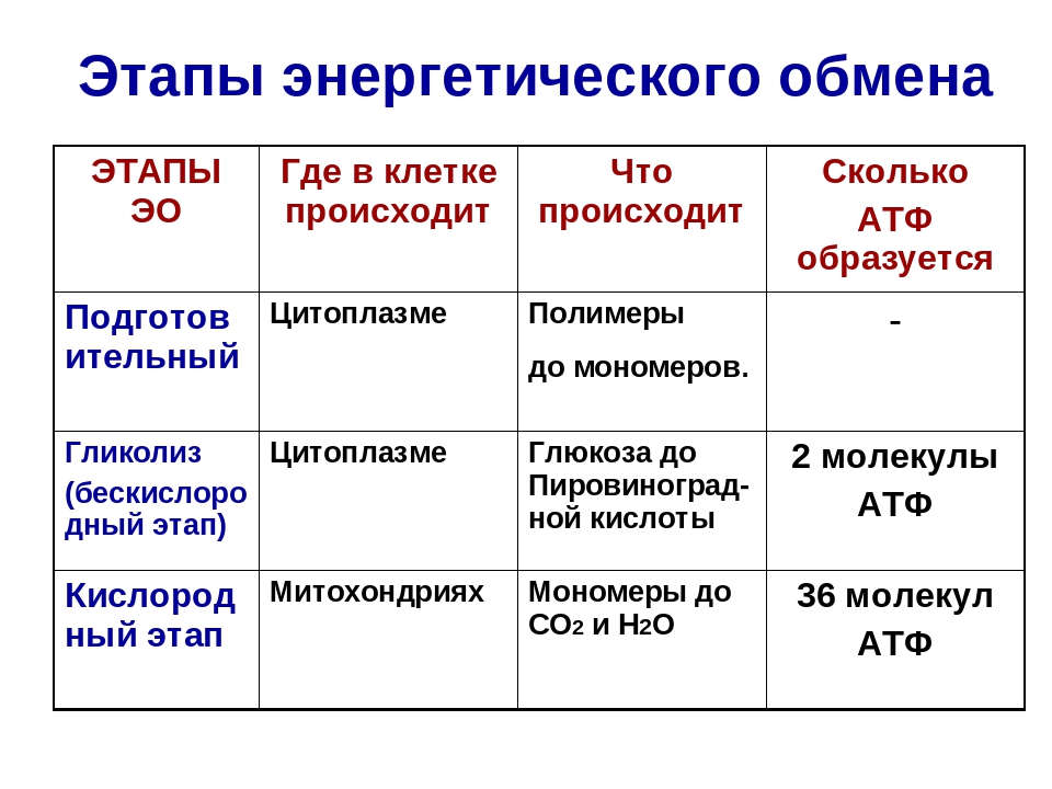 Гдз учебник по биологии 5-6 класс пасечник линия жизни