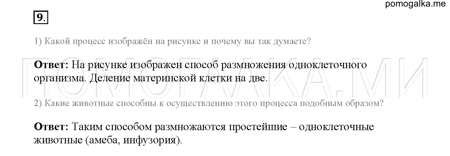 § 33. размножение организмов, его значение - илюшар - база знаний