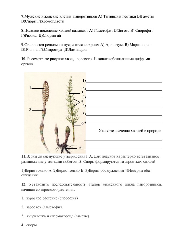 Гдз решебник тесты биология 5 класс сфера жизни сонин