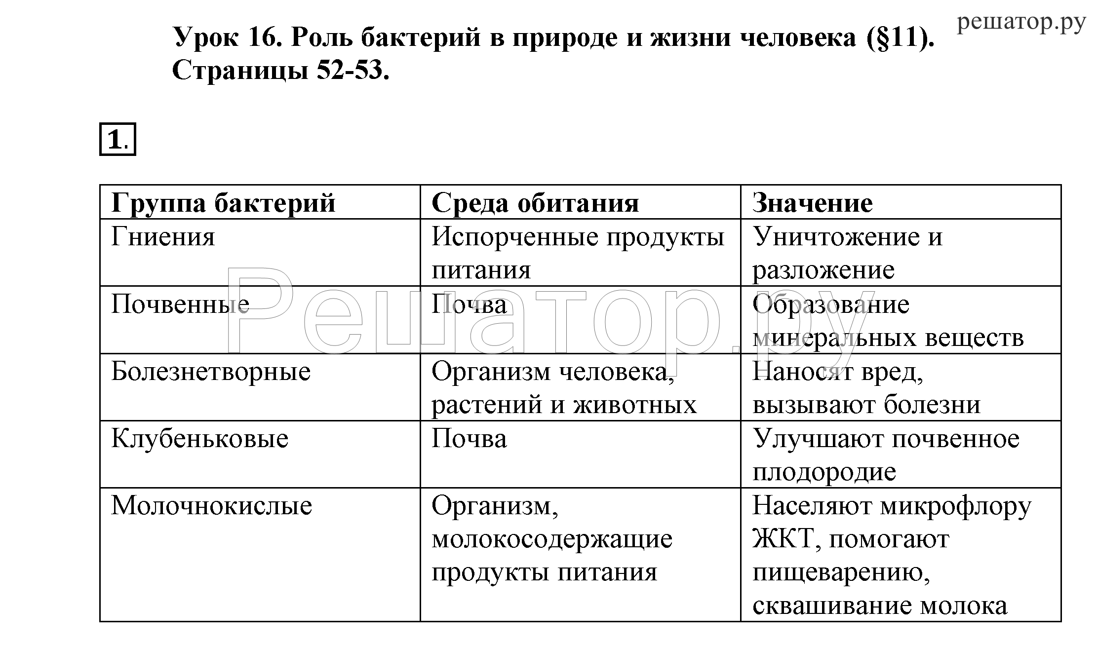 Гдз для рабочей тетради по биологии за 5 класс, обложка с ракушкой. пасечник