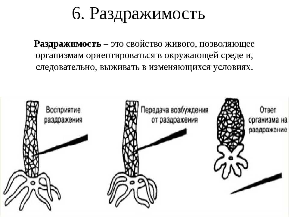 Гдз биология учебник линия жизни за 5-6 класс пасечник, суматохин  просвещение 2020  фгос