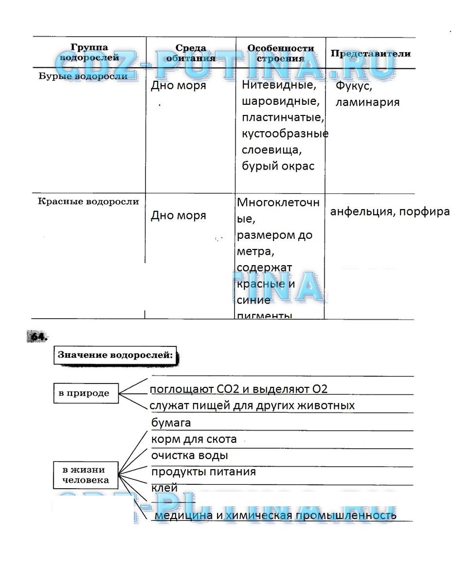 Гдз по биологии 5 класс   пасечник
