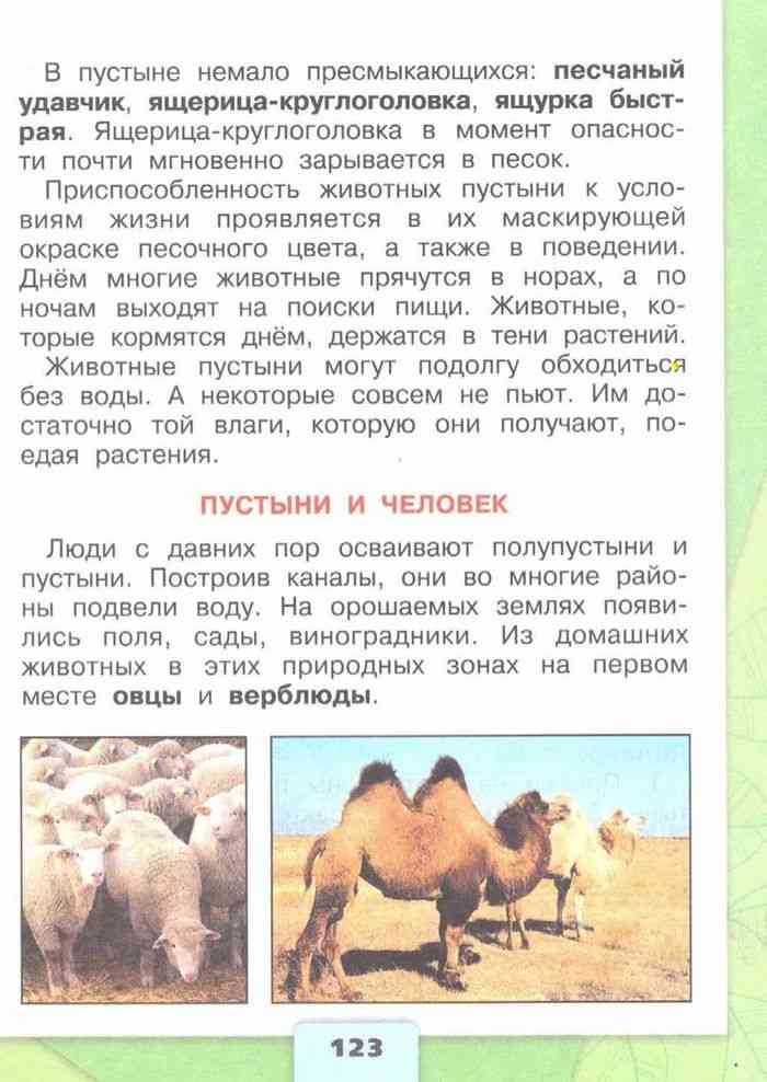 Леса россии стр. 95 - 102. окружающий мир 4 класс 1 часть
