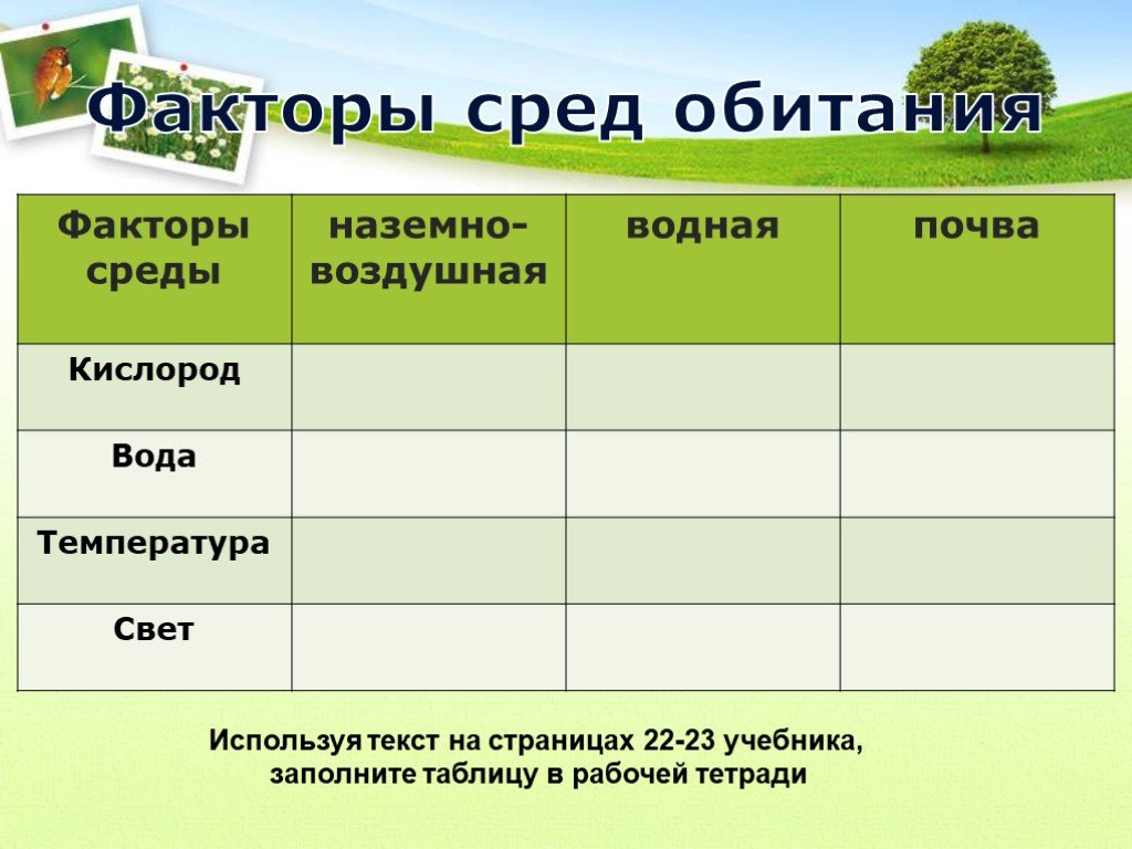 Гдз биология 5 — 6 класс (линия жизни) пасечник. §1. моя лаборатория. номер №1