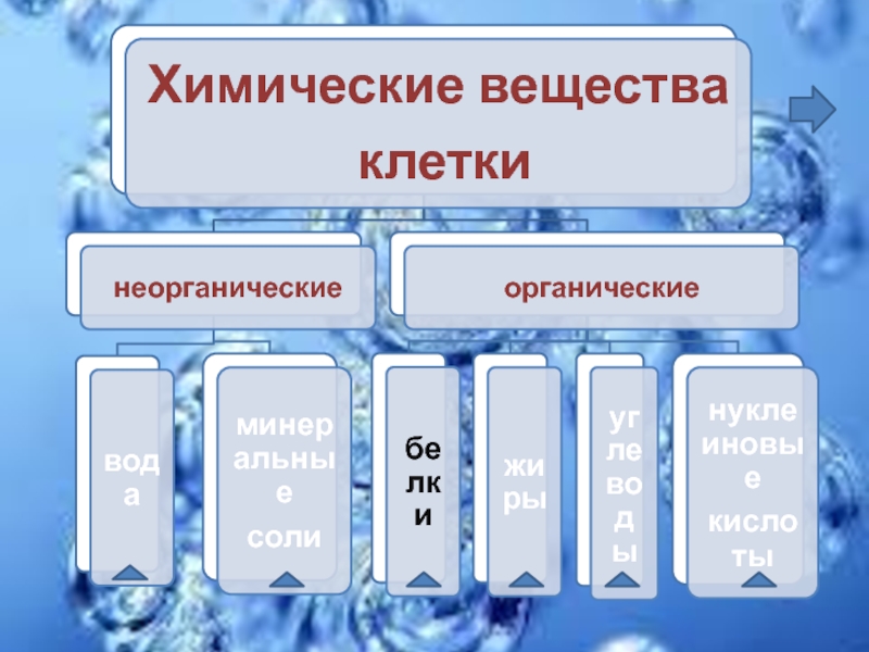 Вопросы к параграфу 8 — гдз по биологии 5 класс учебник пасечник