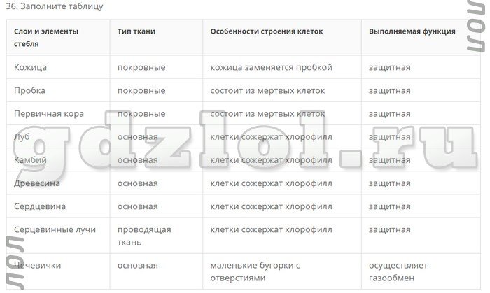 Гдз решебник биология 6 класс учебник «дрофа» пасечник.