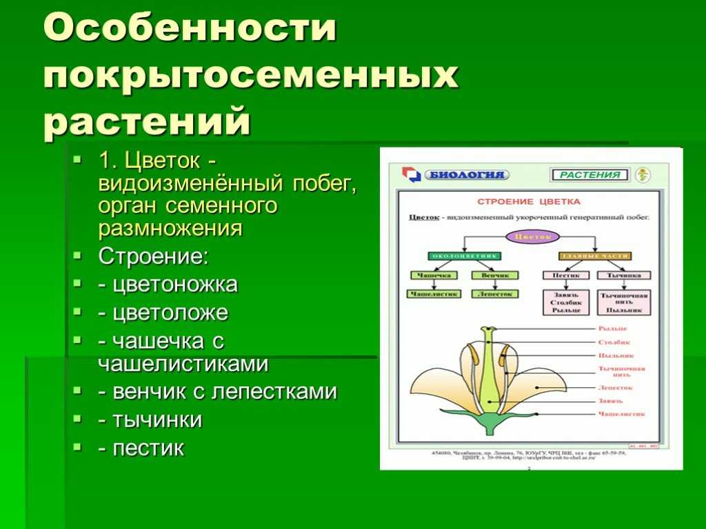 Гдз решебник по биологии 5 класс пасечник рабочая тетрадь просвещение