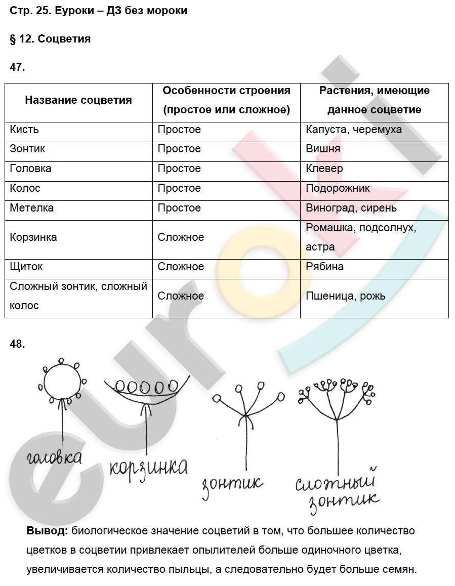 Гдз учебник по биологии 5-6 класс пасечник линия жизни