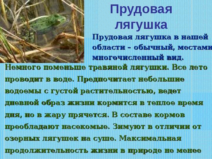 Гдз 4 класс. окружающий мир. плешаков, крючкова. рабочая тетрадь. часть 1. страницы 74, 75, 76, 77