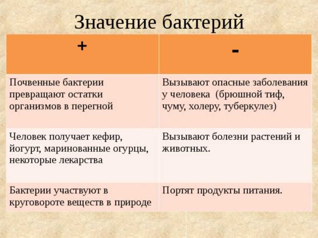 Гдз по биологии 7 класс  сивоглазов