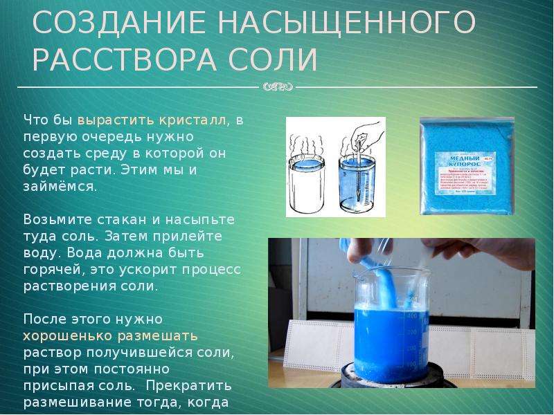 Гдз по биологии 5 класс пасечник в. в.