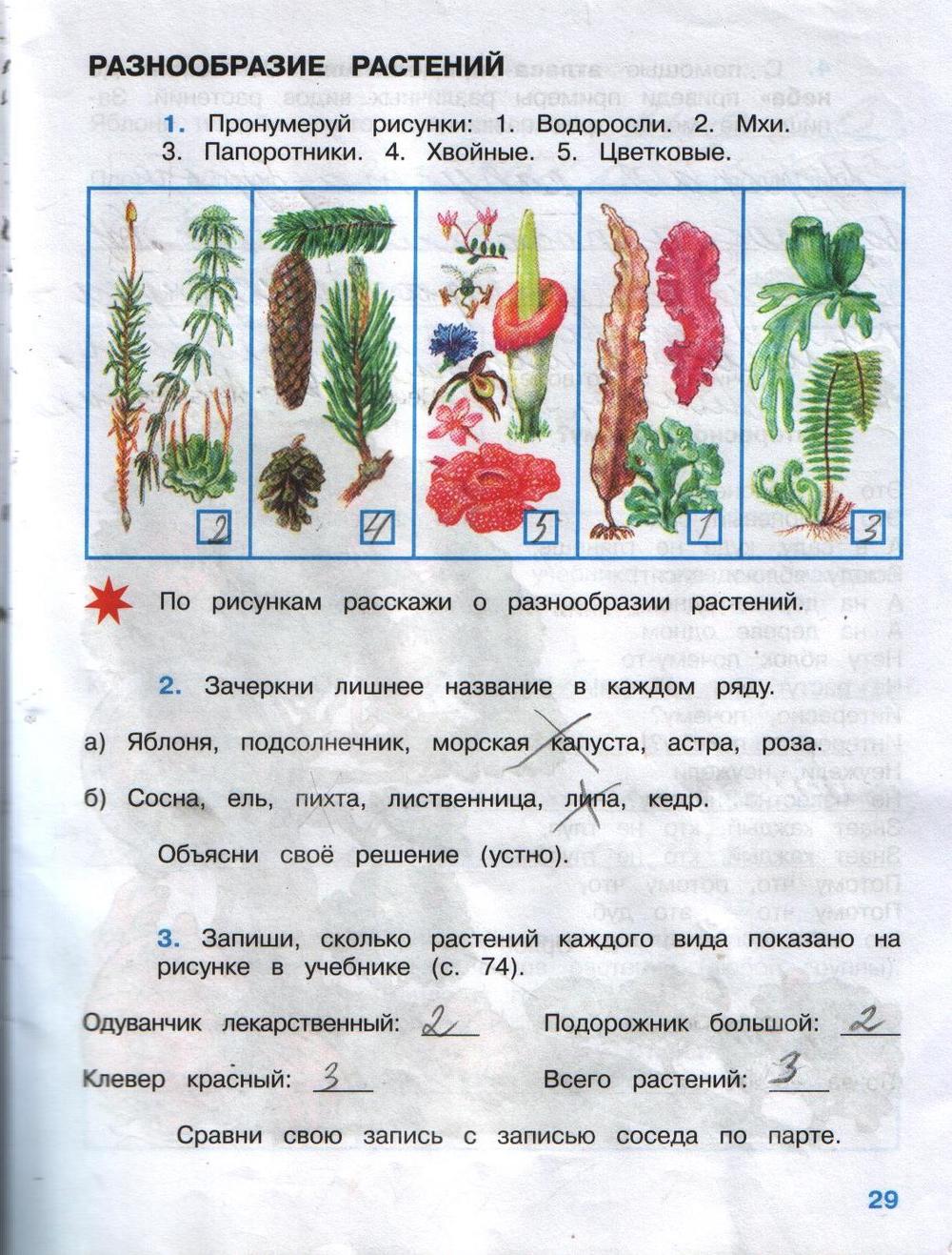 Гдз решебник по окружающему миру 4 класс плешаков, крючкова учебник просвещение