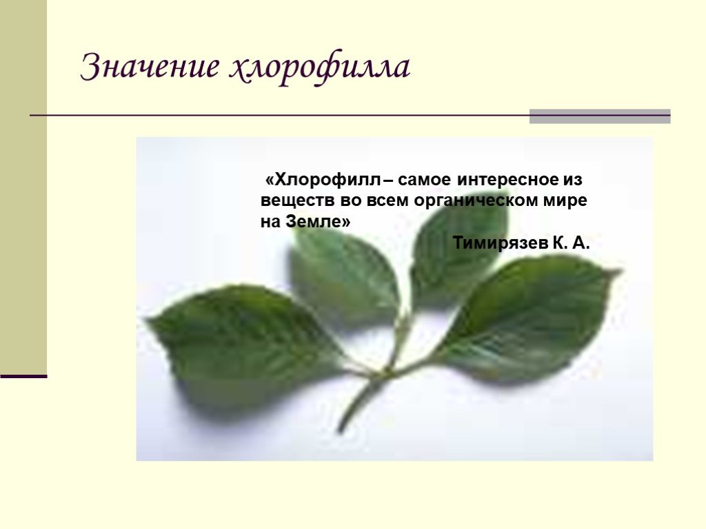 § 26. фотосинтез - илюшар - база знаний