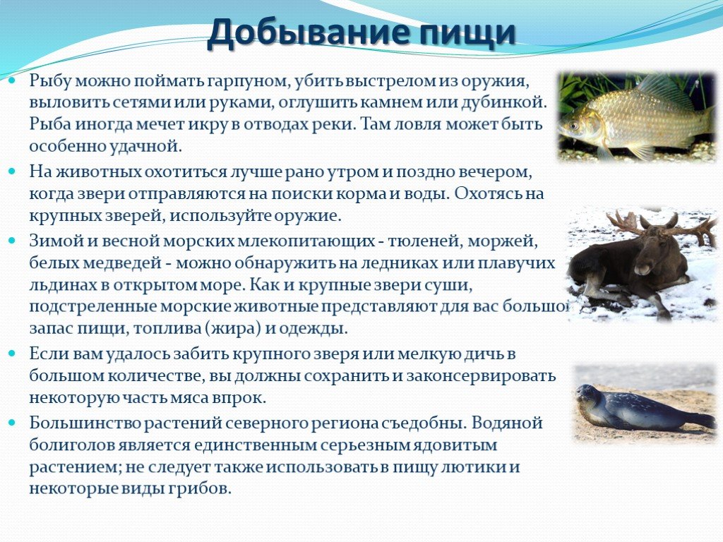 Гдз решебник рабочая тетрадь биология 5 класс линия жизни пасечник