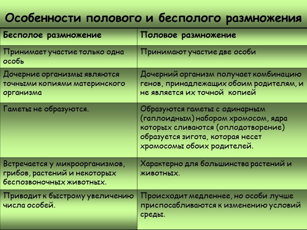 Гдз решебник по биологии 5-6 класс пасечник, суматохин, калинова, гапонюк учебник просвещение