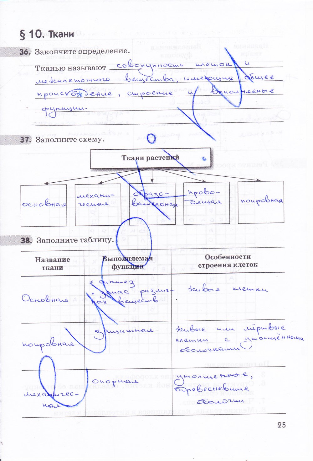 Гдз по биологии 5 класс - ответы к учебникам и тетрадям