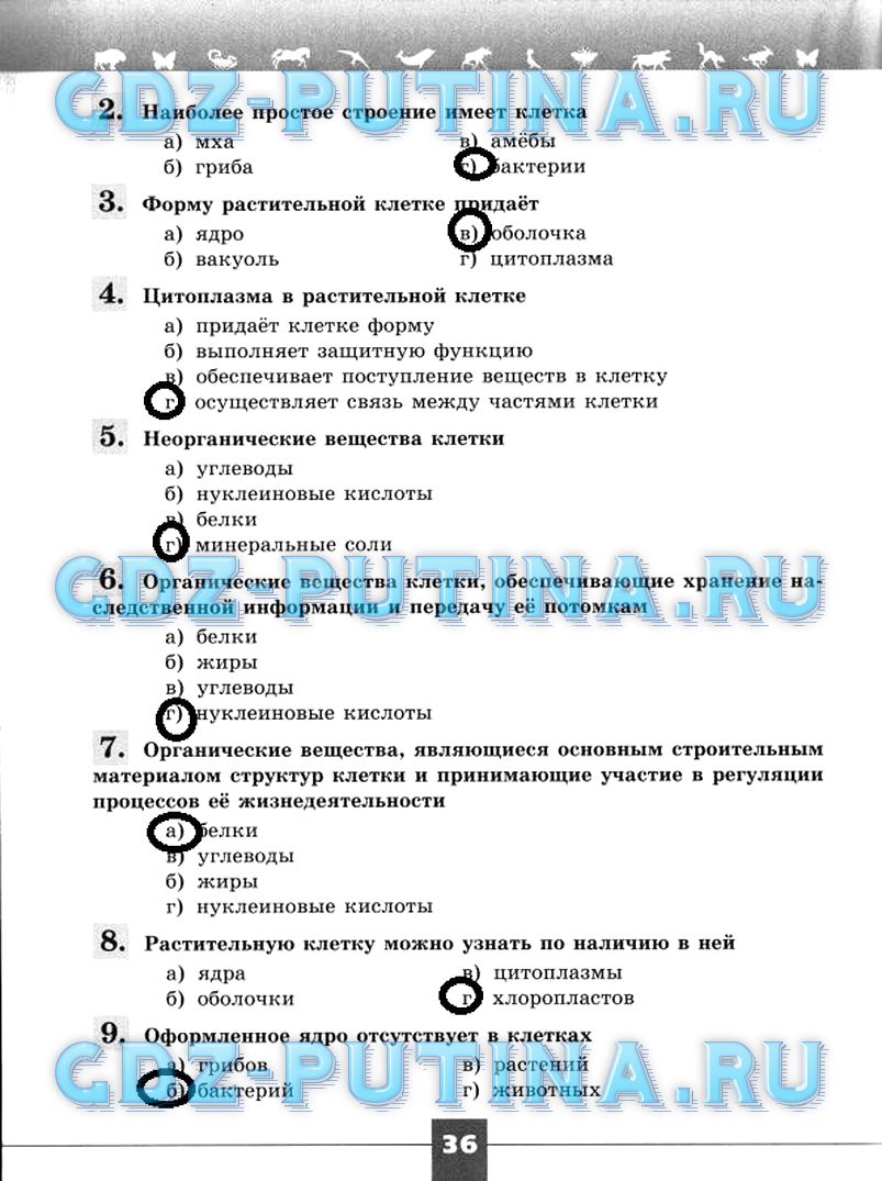 Гдз по биологии 5‐6 класс  пасечник