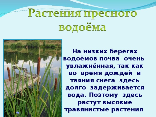 Гдз по окружающему миру 4 класс   плешаков  школа россии