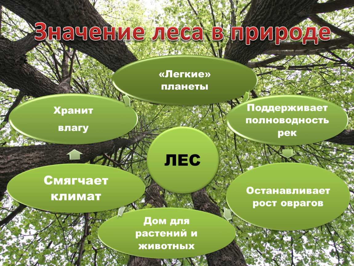 Гдз по окружающему миру 4 класс плешаков крючкова учебник, рабочая тетрадь 1, 2 часть