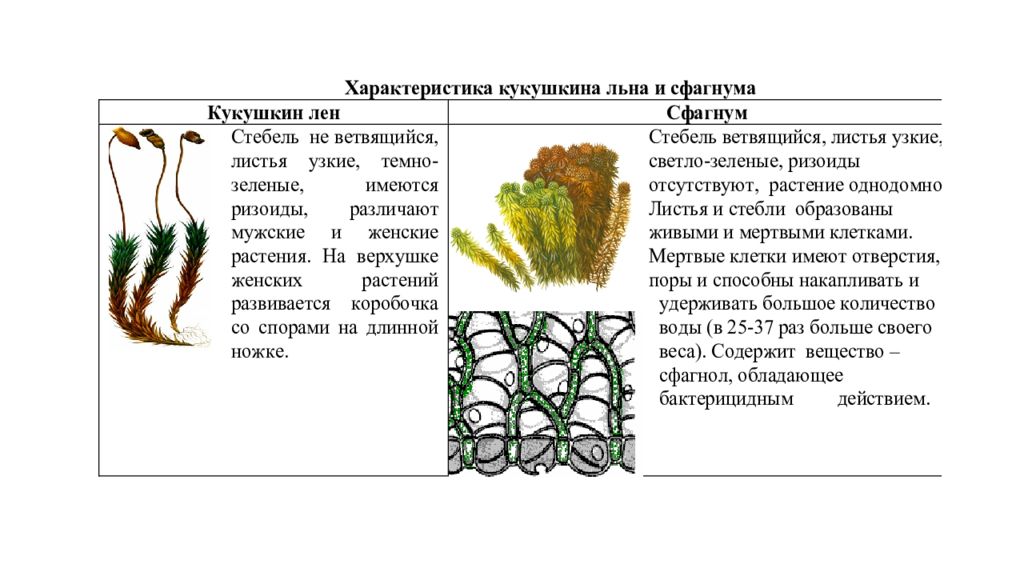 Гдз учебник по биологии 5-6 класс пасечник линия жизни