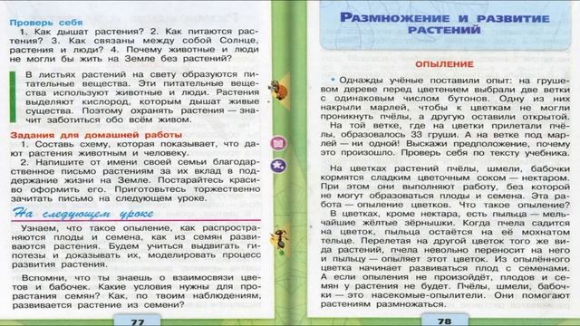 Окружающий мир 4 класс | основной закон россии и права человека. тетрадь для практических работ №2