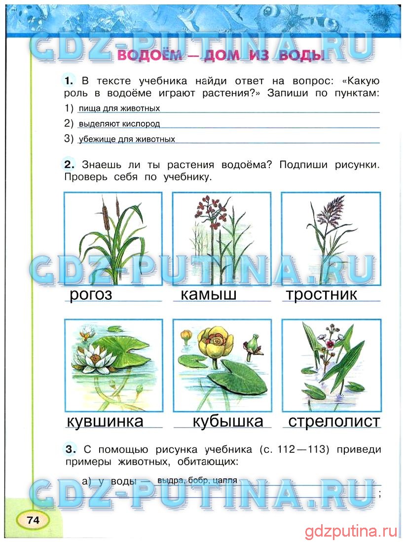 Страница 63-71 гдз по окружающему миру 4 класс учебник плешаков, крючкова часть 1