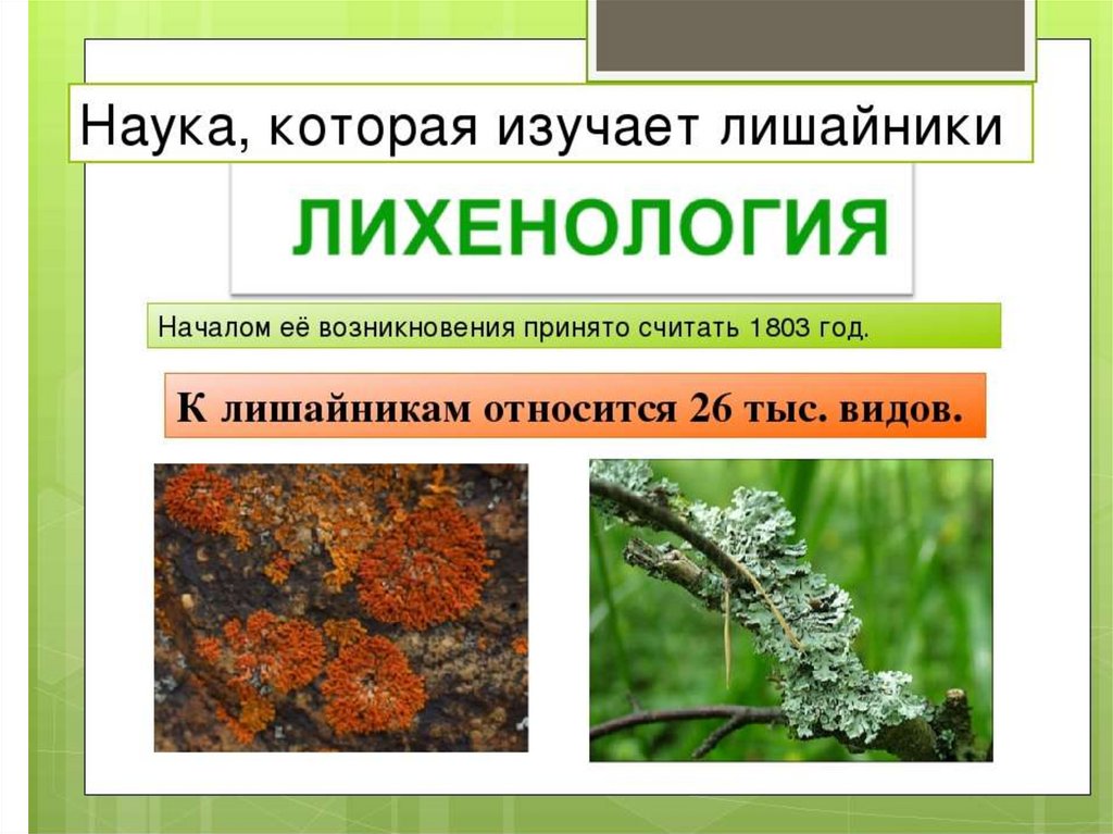 Гдз по биологии 5 класс пасечник в. в.
