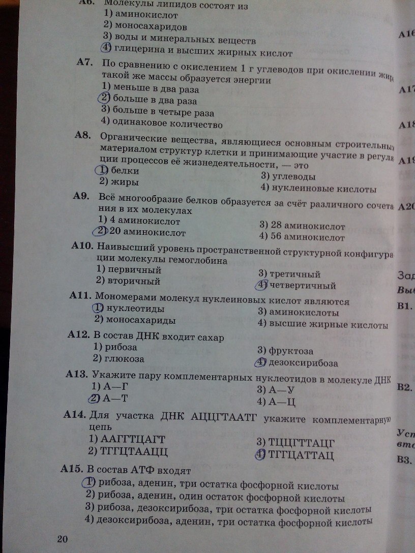Ответы к §2 группа отделов водоросли. гдз биология учебник 7 класс пасечник - страница 3