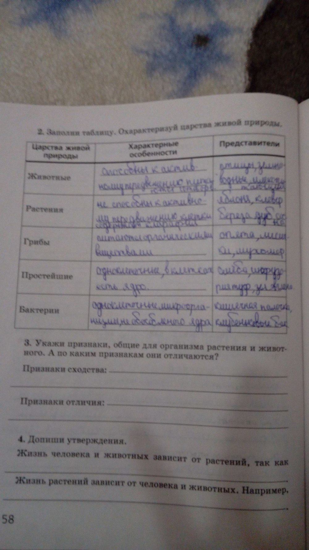 Жизнедеятельность клетки • образавр
