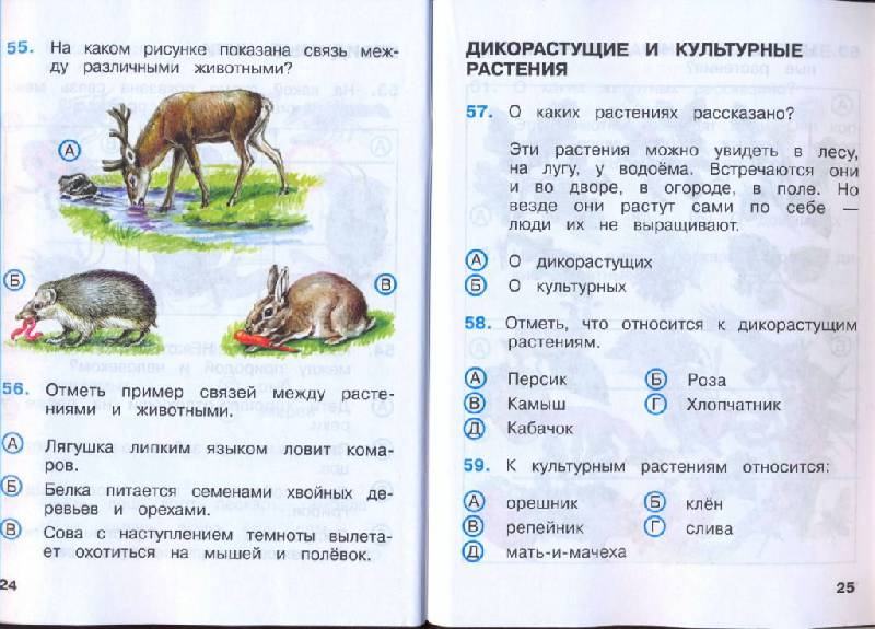 Гдз решебник по окружающему миру 4 класс плешаков проверочные работы   просвещение
