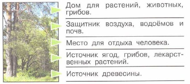 Гдз окружающий мир 4 класс плешаков, крючкова  - учебник
