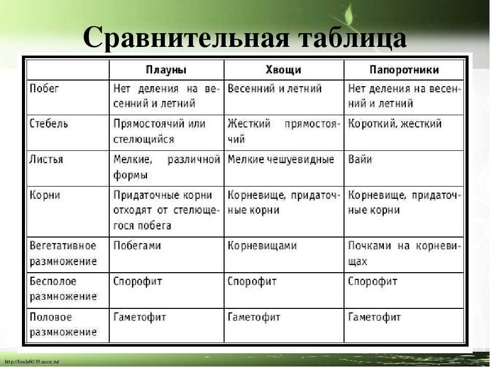 Тест по биологии живой организм. наука о живой природе для 5 класса