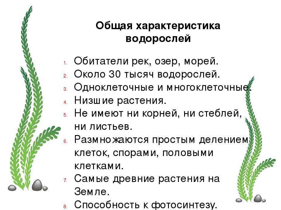 Гдз по биологии 5‐6 класс  пасечник