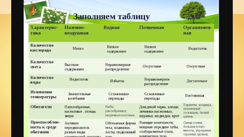 Среды обитания живых организмов, 5 класс