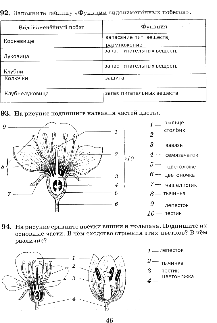 Гдз решебник биология 5 класс рабочая тетрадь линия жизни «просвещение» пасечник, суматохин, калинова.