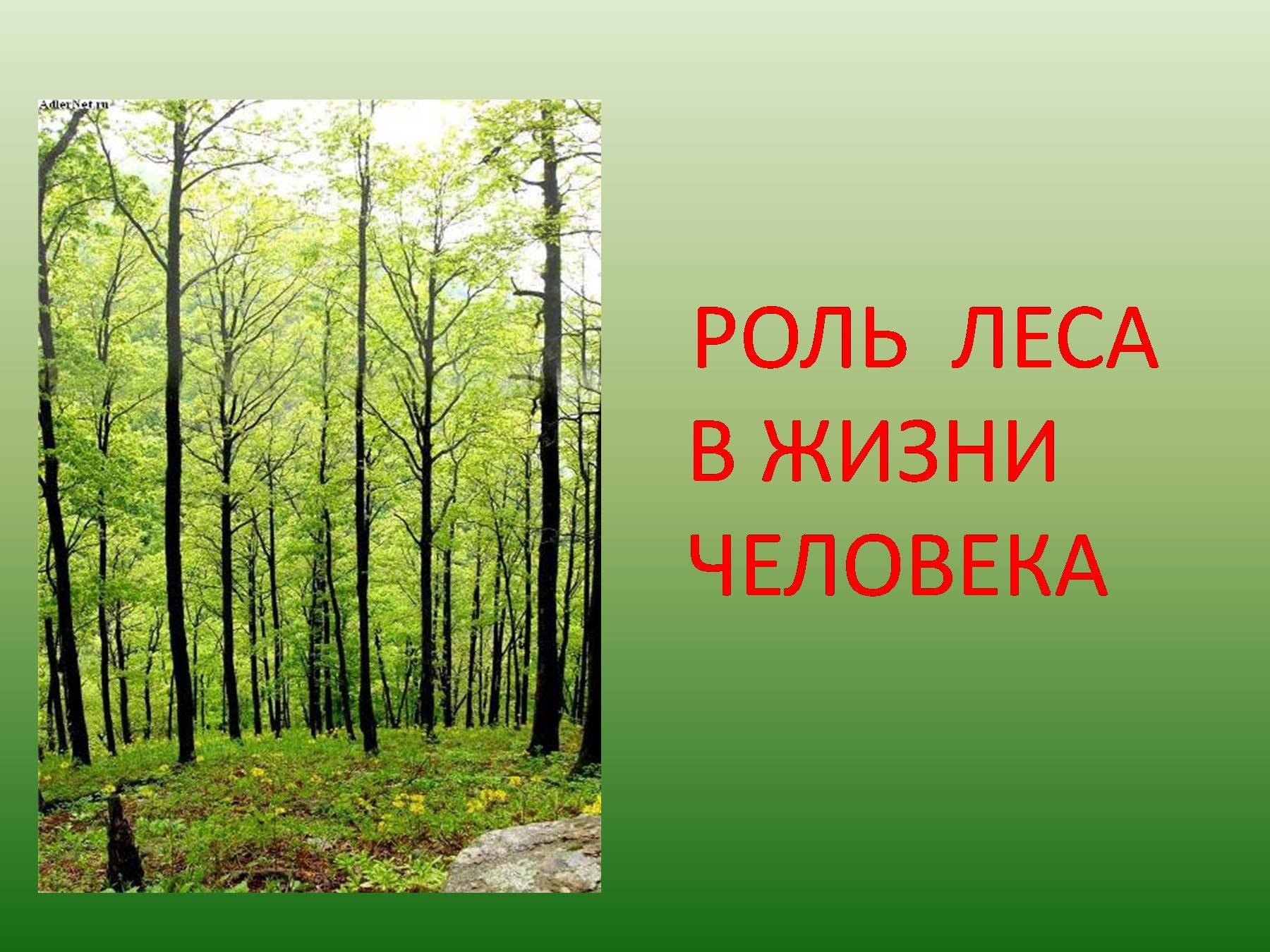 Гдз окружающий мир 4 класс плешаков, крючкова  - учебник